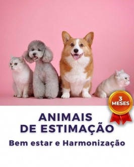 Terapia de BioAnálise: Animais de Estimação (Bem estar e Harmonização)