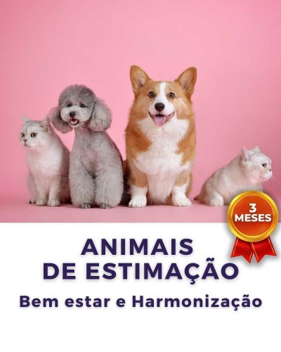 Detalhes do produto Terapia de BioAnálise: Animais de Estimação (Bem estar e Harmonização)